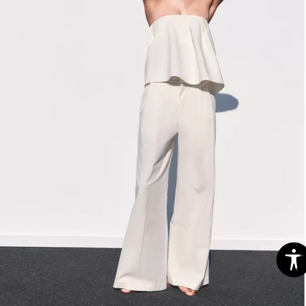 NWT Zara Double Pleat Pants